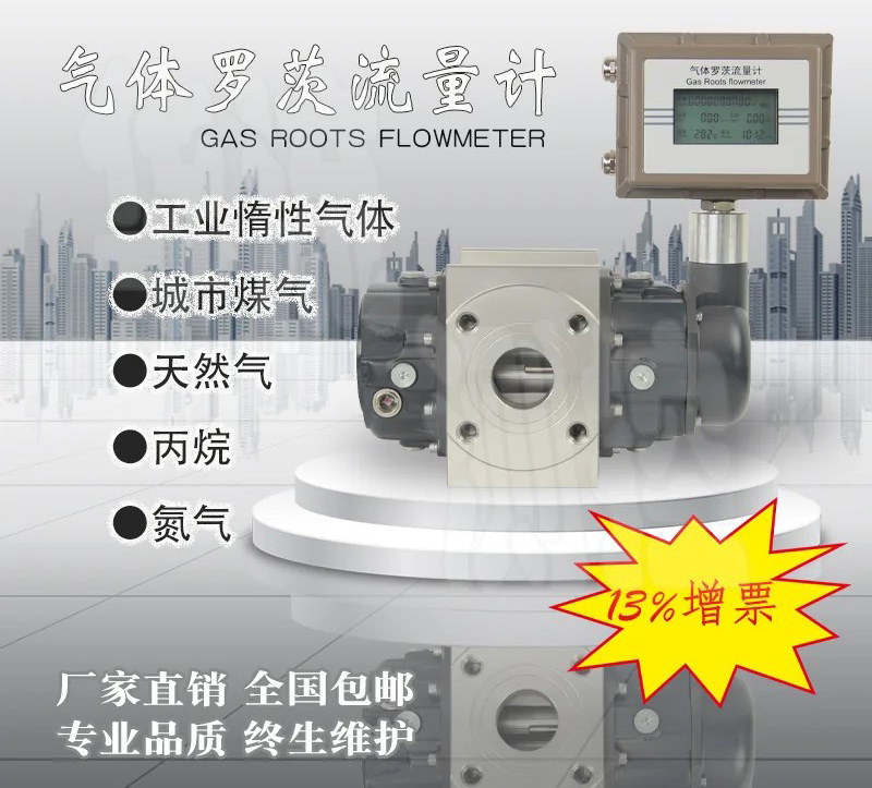 防爆罗茨流量计产品图
